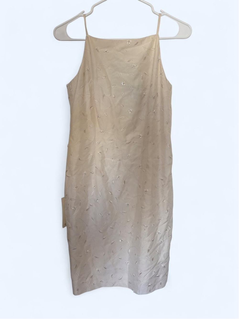 Ann Taylor Beige Strapless Embroidered Slip Dress